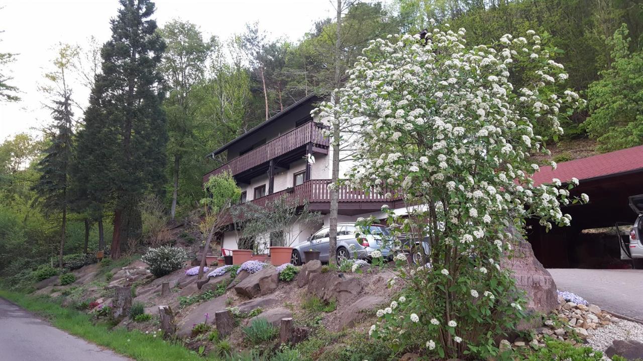 Gaestehaus Gerhardt Schweigen-Rechtenbach Eksteriør bilde